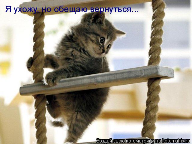 Я ухожу, но обещаю вернуться...... Котоматрица: Я ухожу, но обещаю вернуться...