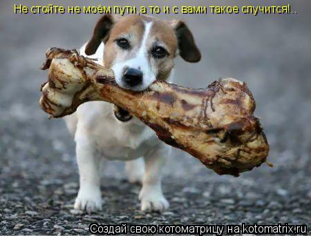 Котоматрица: Не стойте не моём пути,а то и с вами такое случится!..