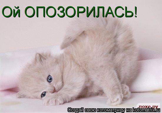 Котоматрица: Ой ОПОЗОРИЛАСЬ!