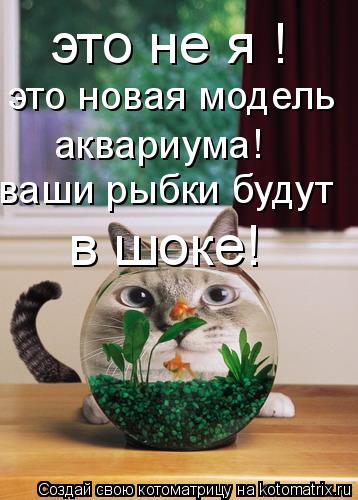 это не я ! это новая модель аквариума! ваши рыбки будут в шоке!... Котоматрица: это не я ! это новая модель аквариума! ваши рыбки будут в шоке!