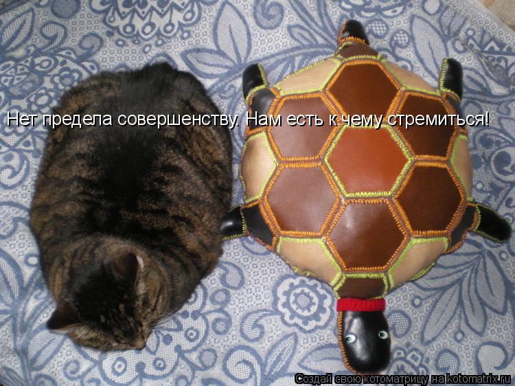 Котоматрица: Нет предела совершенству. Нам есть к чему стремиться! Нет предела совершенству. Нам есть к чему стремиться!