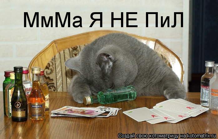 Котоматрица: МмМа Я НЕ ПиЛ