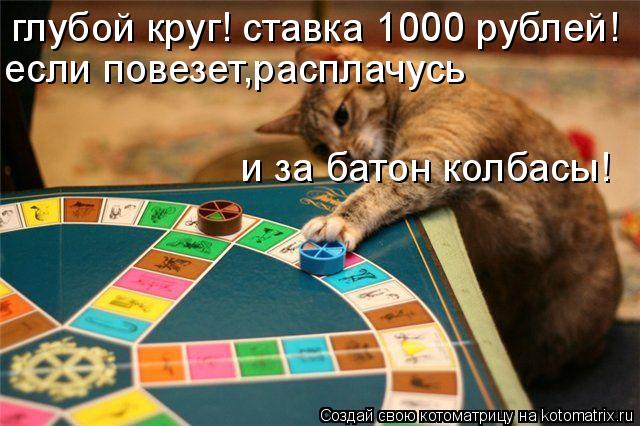 Котоматрица: глубой круг! ставка 1000 рублей! если повезет,расплачусь и за батон колбасы!