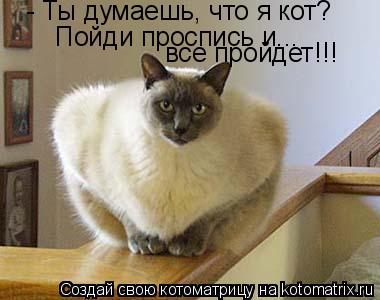 - Ты думаешь, что я кот? Пойди проспись и Пойди проспись и... все пройдет!!!... Котоматрица: - Ты думаешь, что я кот? Пойди проспись и Пойди проспись и... все пройдет!!!