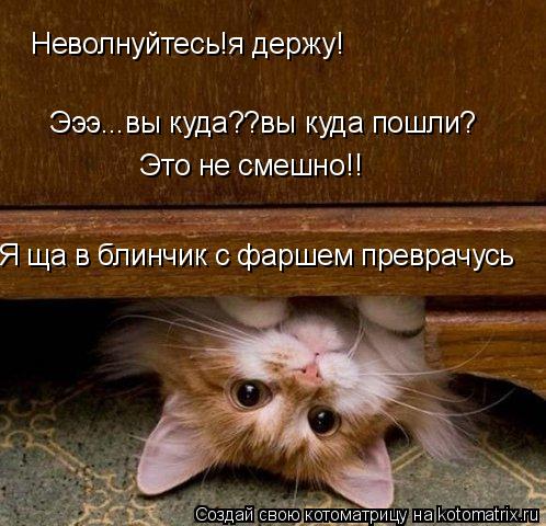 Котоматрица: Неволнуйтесь!я держу! Эээ...вы куда??вы куда пошли? Это не смешно!! Я ща в блинчик с фаршем преврачусь