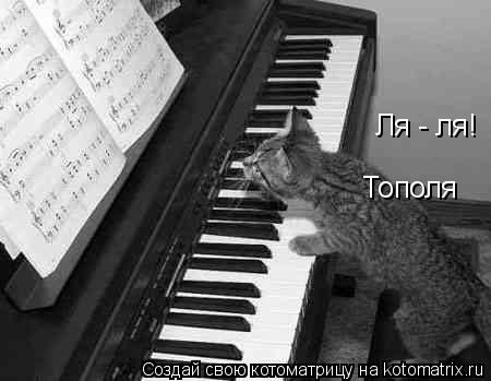 Ля - ля! Тополя... Котоматрица: Ля - ля! Тополя