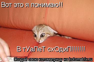 Котоматрица: Вот это я понимаю!! В тУаЛеТ схОдиЛ!!!!!!!