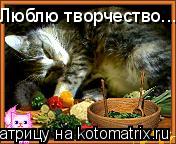 Котоматрица: Люблю творчество...