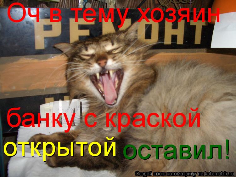 Оч в тему хозяин банку с краской открытой оставил!... Котоматрица: Оч в тему хозяин банку с краской открытой оставил!