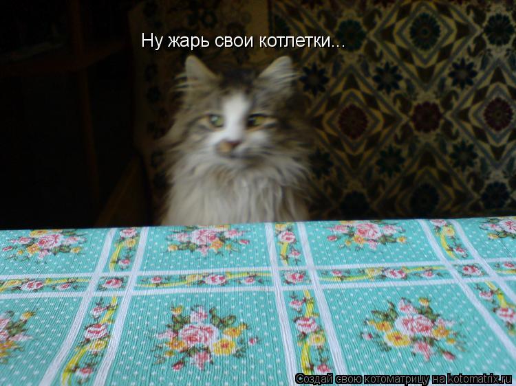Котоматрица: Ну жарь свои котлетки...