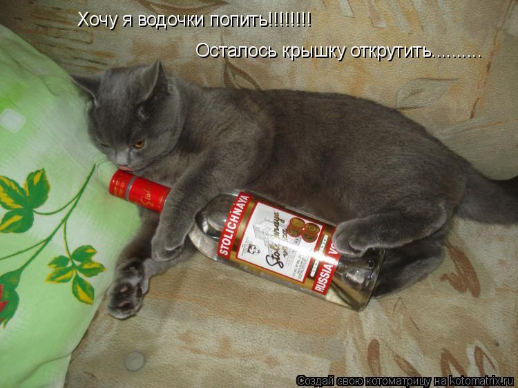 Котоматрица: Осталось крышку открутить.......... Хочу я водочки попить!!!!!!!!