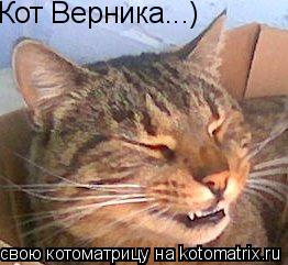 Котоматрица: Кот Верника...)