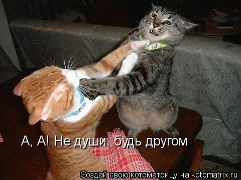 Котоматрица: А, А! Не души, будь другом