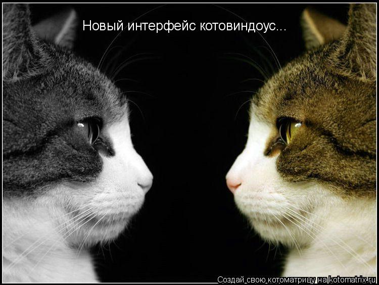 Котоматрица: Новый интерфейс котовиндоус...