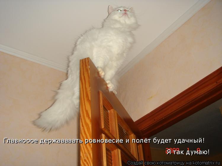Котоматрица: Главнооое держааааать ровновесие и полёт будет удачный! Я так думаю!