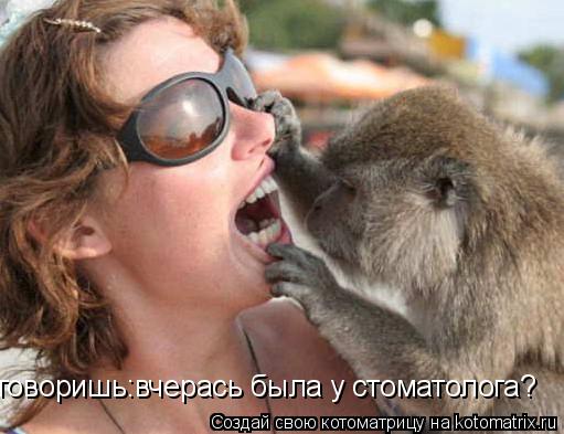 говоришь:вчерась была у стоматолога?... Котоматрица: говоришь:вчерась была у стоматолога?