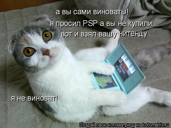 а вы сами виноваты! я просил PSP а вы не купили... вот и взял вашу нитенду я не виноват!... Котоматрица: а вы сами виноваты! я просил PSP а вы не купили... вот и взял вашу нитенду я не виноват!