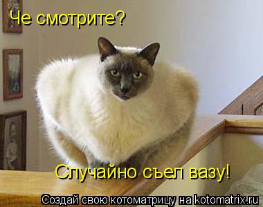 Котоматрица: Че смотрите? Случайно съел вазу!