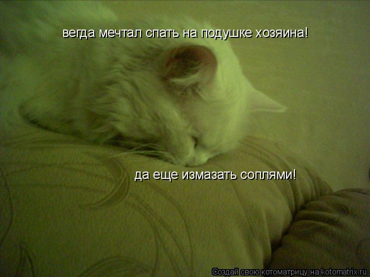 Котоматрица: вегда мечтал спать на подушке хозяина! да еще измазать соплями!
