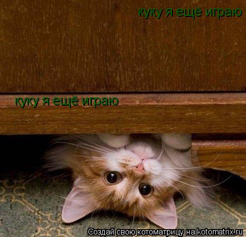 Котоматрица: куку я ещё играю куку я ещё играю