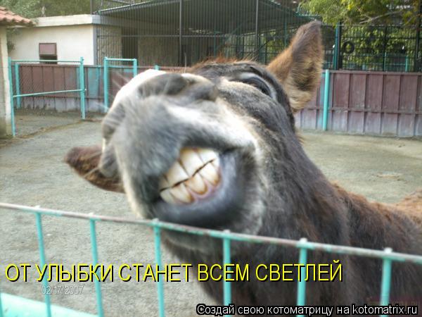ОТ УЛЫБКИ СТАНЕТ ВСЕМ СВЕТЛЕЙ... Котоматрица: ОТ УЛЫБКИ СТАНЕТ ВСЕМ СВЕТЛЕЙ