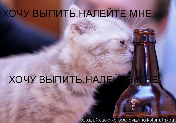 ХОЧУ ВЫПИТЬ.НАЛЕЙТЕ МНЕ. ХОЧУ ВЫПИТЬ.НАЛЕЙТЕ МНЕ.... Котоматрица: ХОЧУ ВЫПИТЬ.НАЛЕЙТЕ МНЕ. ХОЧУ ВЫПИТЬ.НАЛЕЙТЕ МНЕ.