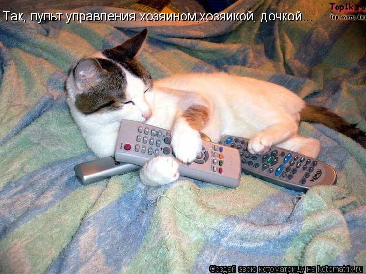 Так, пульт управления хозяином,хозяикой, дочкой...... Котоматрица: Так, пульт управления хозяином,хозяикой, дочкой...