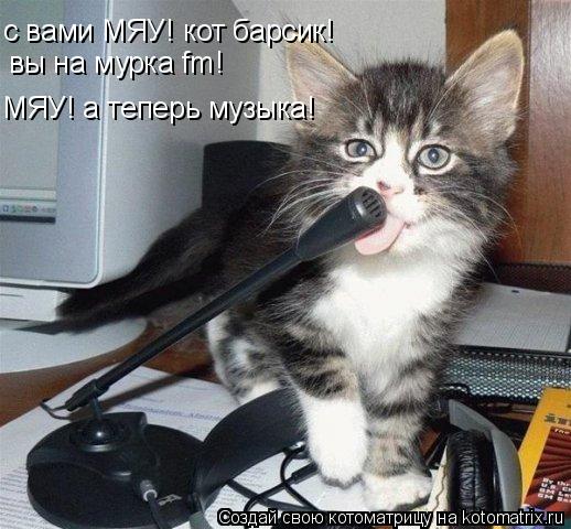 Котоматрица: с вами МЯУ! кот барсик! вы на мурка fm! МЯУ! а теперь музыка!