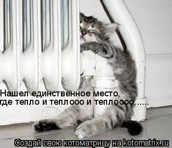 Нашел единственное место, где тепло и теплооо и теплоооо......... Котоматрица: Нашел единственное место, где тепло и теплооо и теплоооо......
