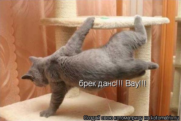 Котоматрица: брек данс!!! Вау!!!