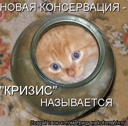 Котоматрица: НОВАЯ КОНСЕРВАЦИЯ -  "КРИЗИС"  НАЗЫВАЕТСЯ
