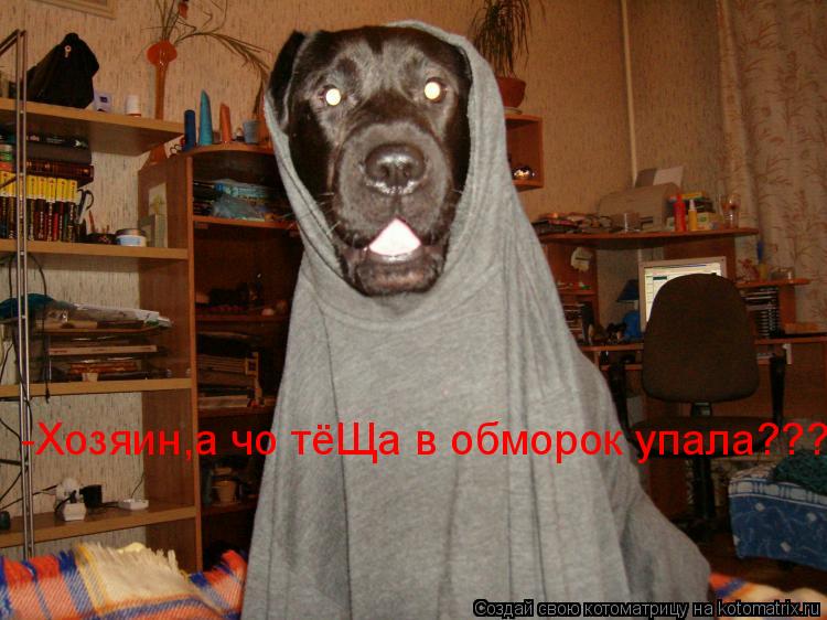 -Хозяин,а чо тёЩа в обморок упала???... Котоматрица: -Хозяин,а чо тёЩа в обморок упала???