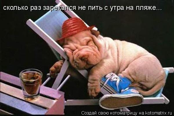 Котоматрица: сколько раз зарекался не пить с утра на пляже...