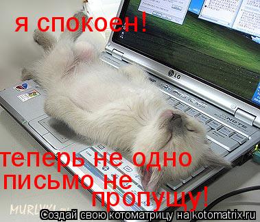 Котоматрица: я спокоен! теперь не одно письмо не пропущу!