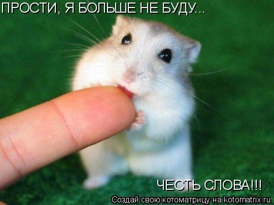 ПРОСТИ, Я БОЛЬШЕ НЕ БУДУ... ЧЕСТЬ СЛОВА!!!... Котоматрица: ПРОСТИ, Я БОЛЬШЕ НЕ БУДУ... ЧЕСТЬ СЛОВА!!!
