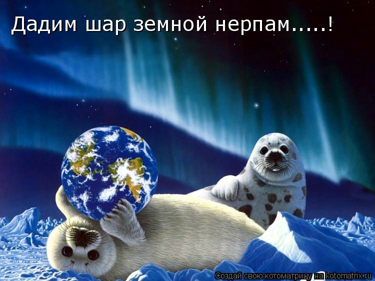 Котоматрица: Дадим шар земной нерпам.....!