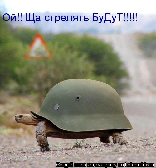 Котоматрица: Ой!! Ща стрелять БуДуТ!!!!!