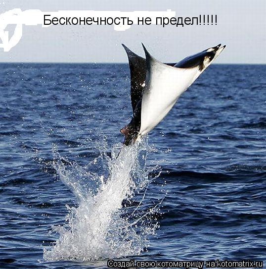 Бесконечность не предел!!!!!... Котоматрица: Бесконечность не предел!!!!!