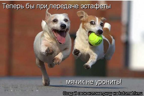 Котоматрица: Теперь бы при передаче эстафеты мячик не уронить!