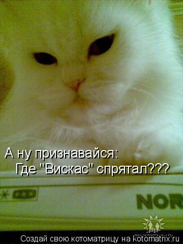 А ну признавайся: Где "Вискас" спрятал???... Котоматрица: А ну признавайся: Где "Вискас" спрятал???