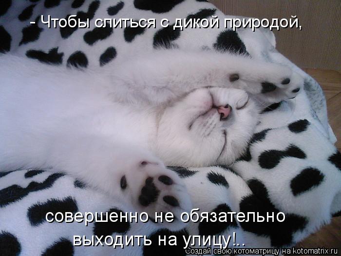Котоматрица: - Чтобы слиться с дикой природой, совершенно не обязательно выходить на улицу!..