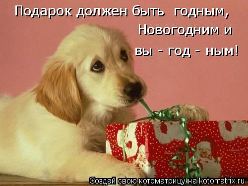 Котоматрица: Подарок должен быть  годным, Новогодним и вы - год - ным!