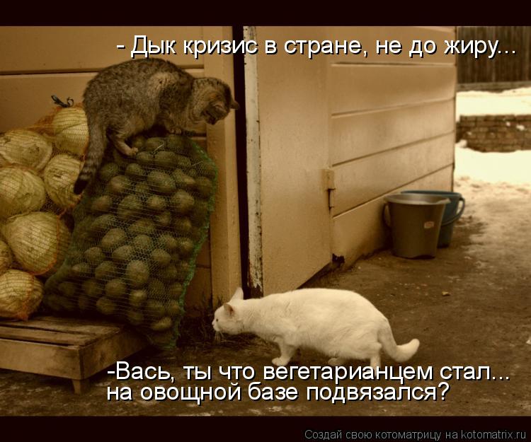 -Вась, ты что вегетарианцем стал... на овощной базе подвязался? - Дык кризис в стране, не до жиру...... Котоматрица: -Вась, ты что вегетарианцем стал... на овощной базе подвязался? - Дык кризис в стране, не до жиру...