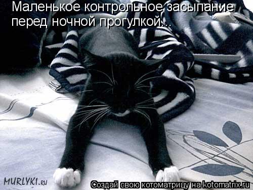 Котоматрица: Маленькое контрольное засыпание перед ночной прогулкой...