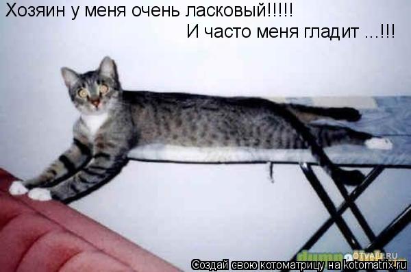 Котоматрица: Хозяин у меня очень ласковый!!!!! И часто меня гладит ...!!!