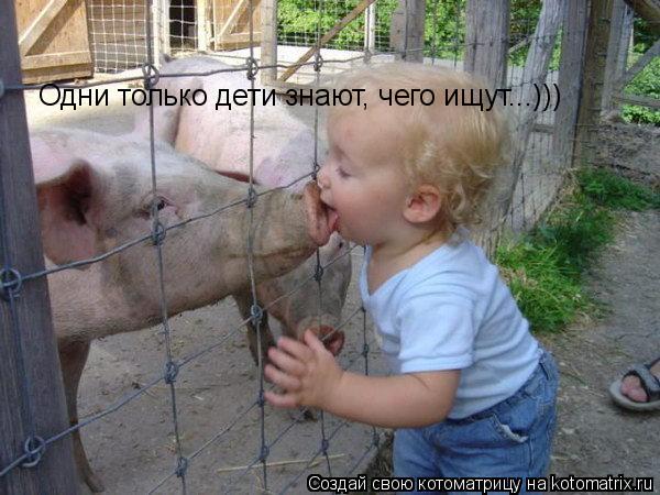 Одни только дети знают, чего ищут...)))... Котоматрица: Одни только дети знают, чего ищут...)))
