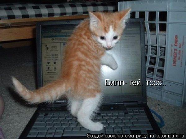 Билл- гей. тссс....... Котоматрица: Билл- гей. тссс....