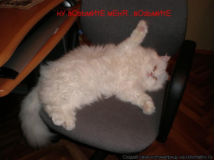 Котоматрица: нУ вОзЬмИтЕ мЕнЯ...вОзЬмИтЕ