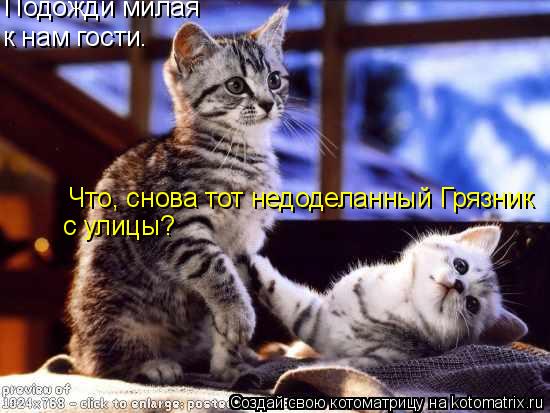 Котоматрица: Подожди милая к нам гости. Что, снова тот недоделанный Грязник с улицы?