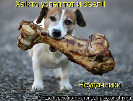 Котоматрица: Ха!кто успел тот и съел!! Неудачники
